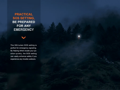 Fenix LR60R Search Flashlight